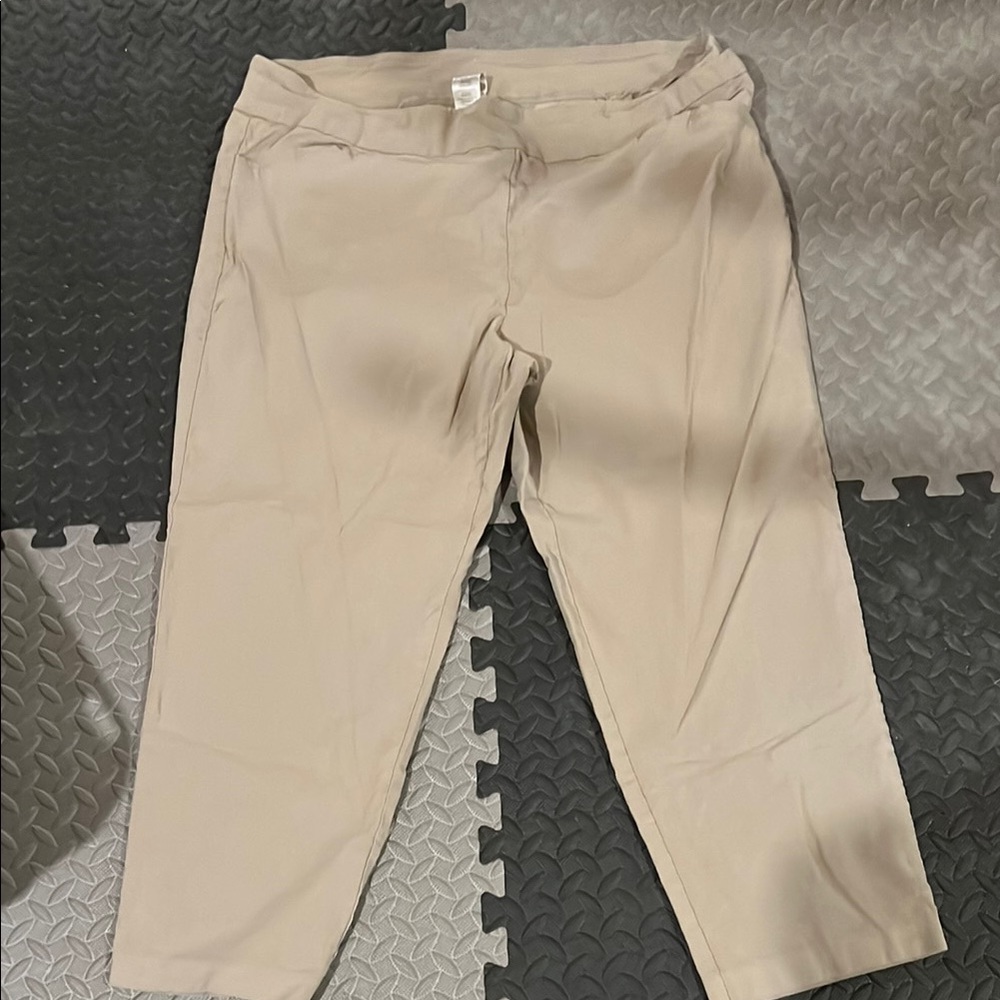 Terra & Sky Women’s Stretchy Pants 2X Petite